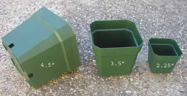 2.25" square pot 10 pack