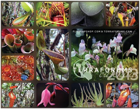 2013 TerraForums Calendar