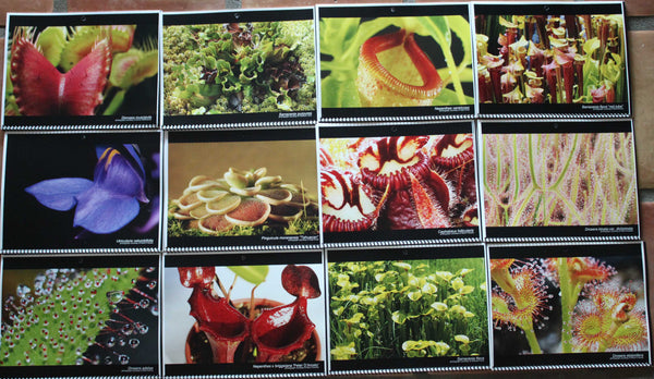 2012 TerraForums Calendar